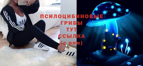 твердый Аркадак