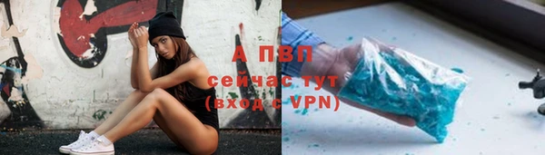прущие грибы Алзамай