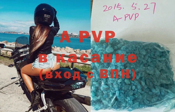 твердый Аркадак