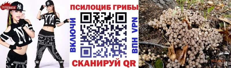 Галлюциногенные грибы Magic Shrooms  Купить  Среднеуральск 